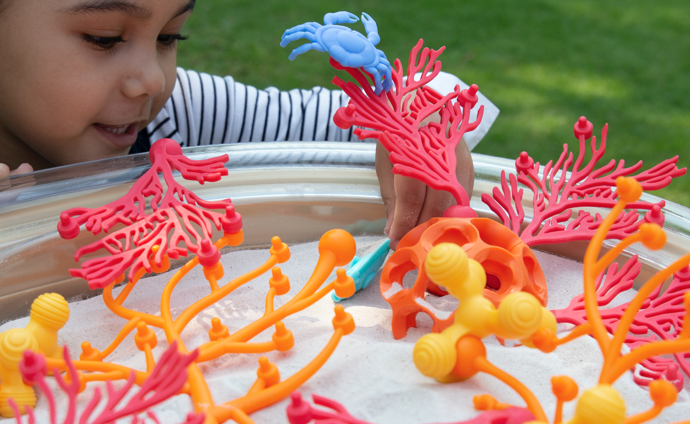 Coral Connections — Jenna Boldebuck